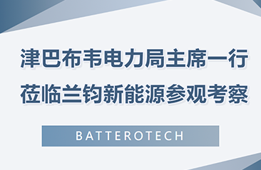 万里奔赴！津巴布韦电力局主席一行莅临兰钧新能源参观考察